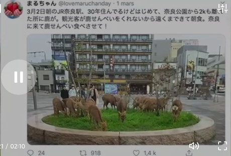 Nouvelles du monde. Vu du Japon.