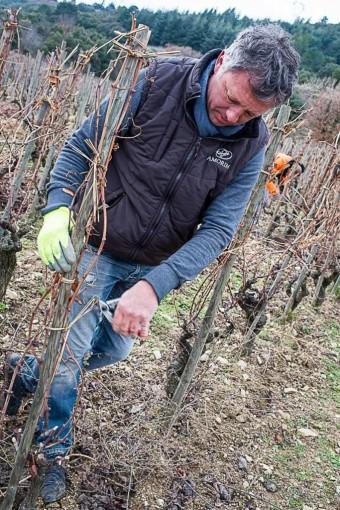 stephanetaille2018-683x1024 stephanetaille2018-683x1024