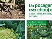 Tout savoir culture chou