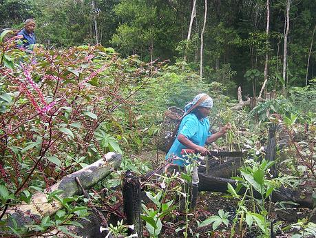 Csm_AgenciaUN_20150520-05_04_ab8101e3e4 Csm_AgenciaUN_20150520-05_04_ab8101e3e4