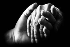 Quatrième de couverture