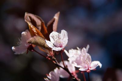 Jour 6 d’une autre vie. Et le moral dans tout ça ?