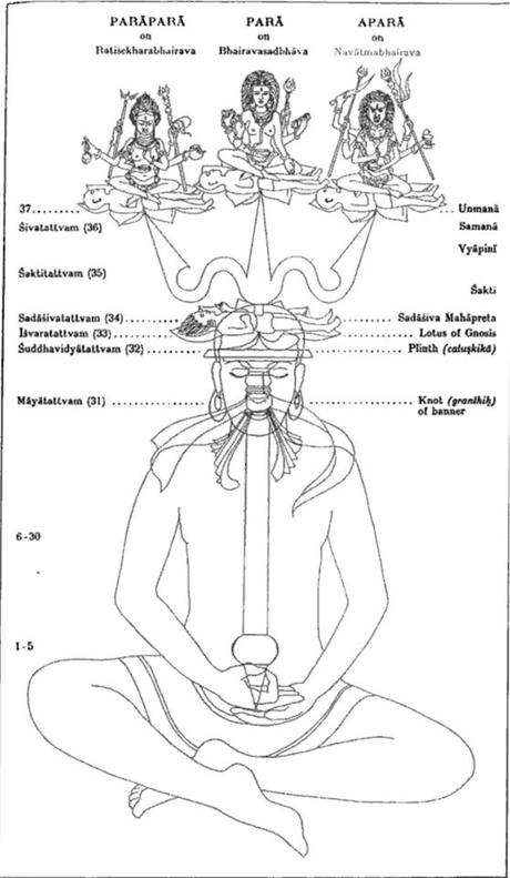 Aucune description de photo disponible.