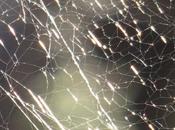 Continuité pédagogique épuisement