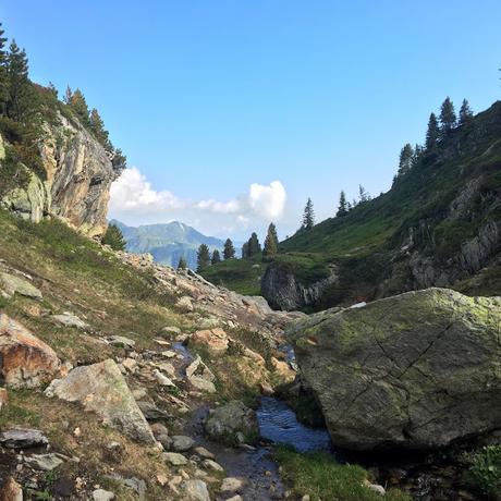 TOUR DU BEAUFORTAIN : Chalet de l'Alpage - Queige (J6)