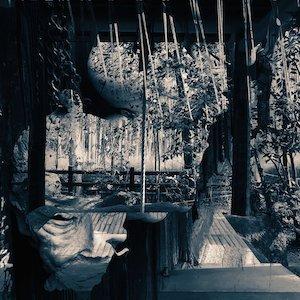 Andrea Laudante Andrea Laudante