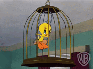 Ouvrez Ouvrez La Cage Aux Oiseaux A Lire