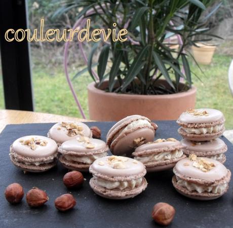 Macarons pralinés à l’ancienne de Pierre Hermé et macarons au pain d’épices Macarons pralinés à l’ancienne de Pierre Hermé et macarons au pain d’épices