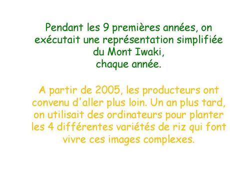 Le Japon - Les Rizières - 