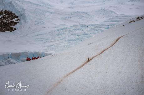 L'aventure merveilleuse en Antarctique: Partie 5: Débarquement sur le continent Antarctique!