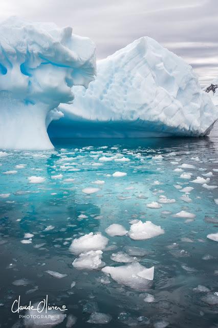 L'aventure merveilleuse en Antarctique: Partie 5: Débarquement sur le continent Antarctique! L'aventure merveilleuse en Antarctique: Partie 5: Débarquement sur le continent Antarctique!