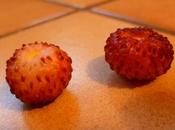 jardin cette semaine