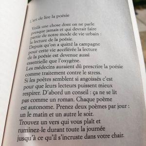 L’art presque perdu de ne rien faire, Dany Laferrière… coup de coeur !