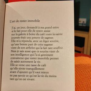 L’art presque perdu de ne rien faire, Dany Laferrière… coup de coeur ! L’art presque perdu de ne rien faire, Dany Laferrière… coup de coeur !