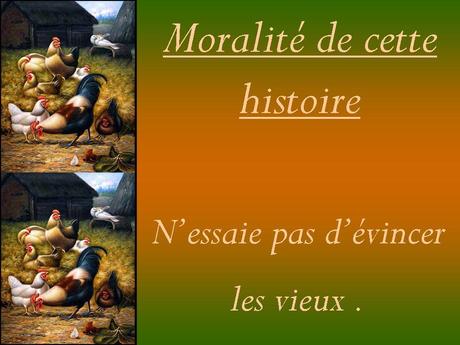 Divers - Le Vieux Coq