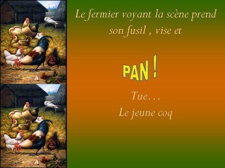 Divers - Le Vieux Coq