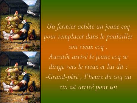 Divers - Le Vieux Coq