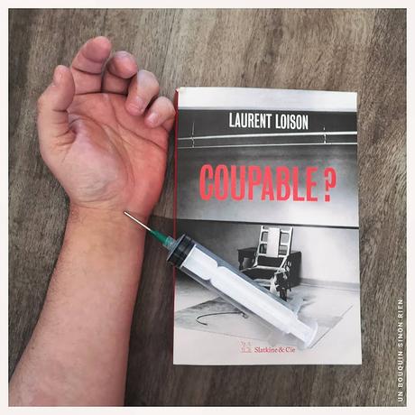 Coupable ? - Laurent Loison Coupable ? - Laurent Loison