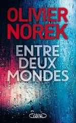 olivier norek, entre deux mondes, polar, roman noir, pocket, thriller, la jungle de calais