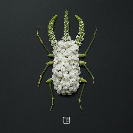 Raku Inoue créé des animaux et des insectes à l’aide de végétaux.