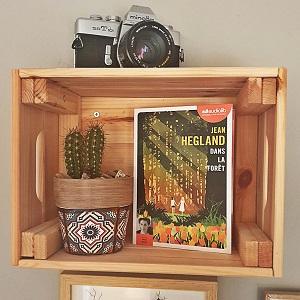 Dans la forêt de Jean Hegland Dans la forêt de Jean Hegland (éditions audio Audiolib)