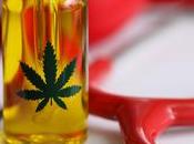 CANNABIS chaque génotype indication thérapeutique