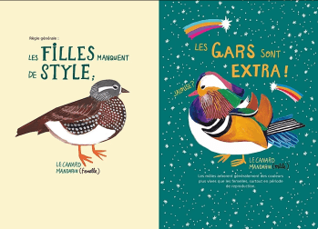 Drôles d’oiseaux de Misha Maynerick Blaise