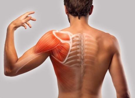 Des omoplates douloureuses ? Cherchez les causes et changez de mode de vie Des omoplates douloureuses ? Cherchez les causes et changez de mode de vie