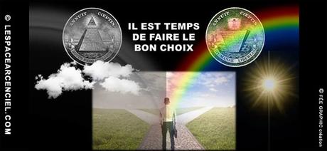 Cerveaux Collectifs et Transition