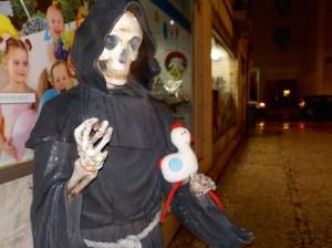 Le voyage de Cocotte – Galus Galus Domesticus Le voyage de Cocotte – Galus Galus Domesticus