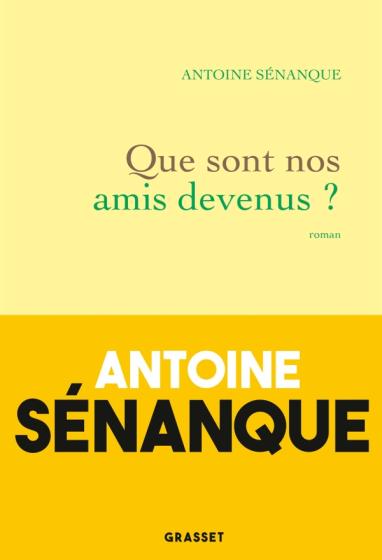 Antoine Sénanque – Que sont nos amis devenus ? ****