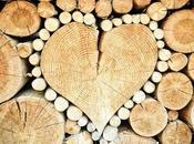 Découvrez bois sous toutes formes