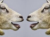 Comment Chine Russie exploitent crise sanitaire fins politiques géopolitiques