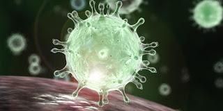 Coronavirus : les jours barbares