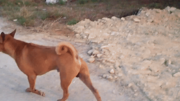 La Thaïlande, le pays du sourire