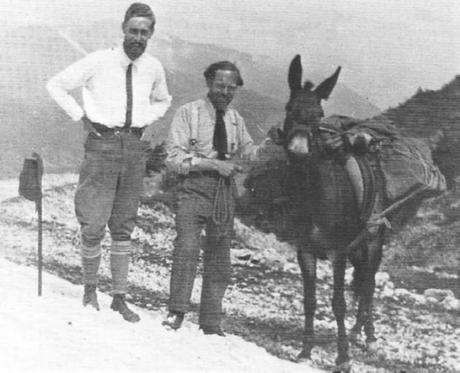 Sur le sentier confus et magnétique des ânes et des poètes