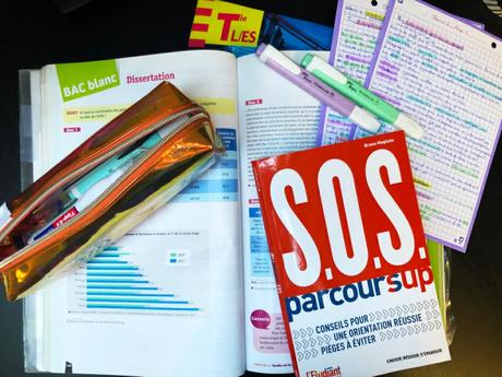 SOS parcoursup – Editions de L’opportun