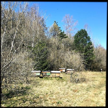 (Temporary Backup) Mystical places