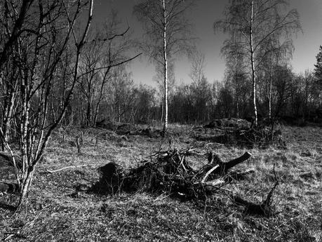 (Temporary Backup) Mystical places