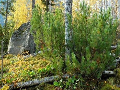 Pays Etranger - Europe de l'Est et leurs significations - 4