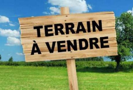 Craft beer – Terrain à bâtir à vendre Chailly-en-Bière 77930 – 6621882

 – Bière brune