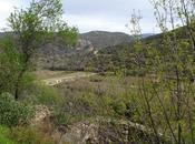 L'Aqueduc d'Ansignan Restaurant Relais Sceaury Rasiguères