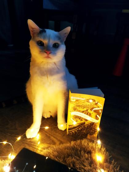 La passe miroir – Les disparus du clairdelune