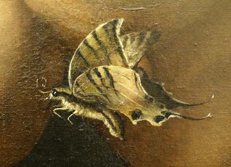 Agnolo_bronzino-_Portrait of a dwarf Morgantе recto1552,Offices detail papillon