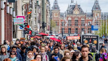 Camembert en cocotte