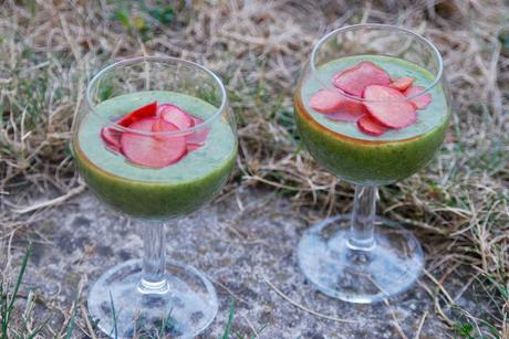 Cuillère et saladier : Velouté froid de fanes de radis et ses radis croquants