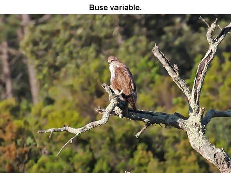 La France - Le Massif des Maures