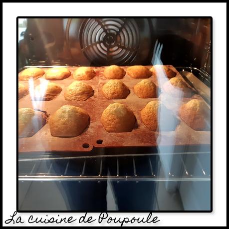 Madeleines de Lenôtre Madeleines de Lenôtre