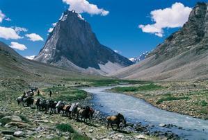 Départ moins 2 semaines