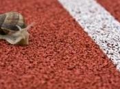 artiste peint escargots vivants libère dans Londres